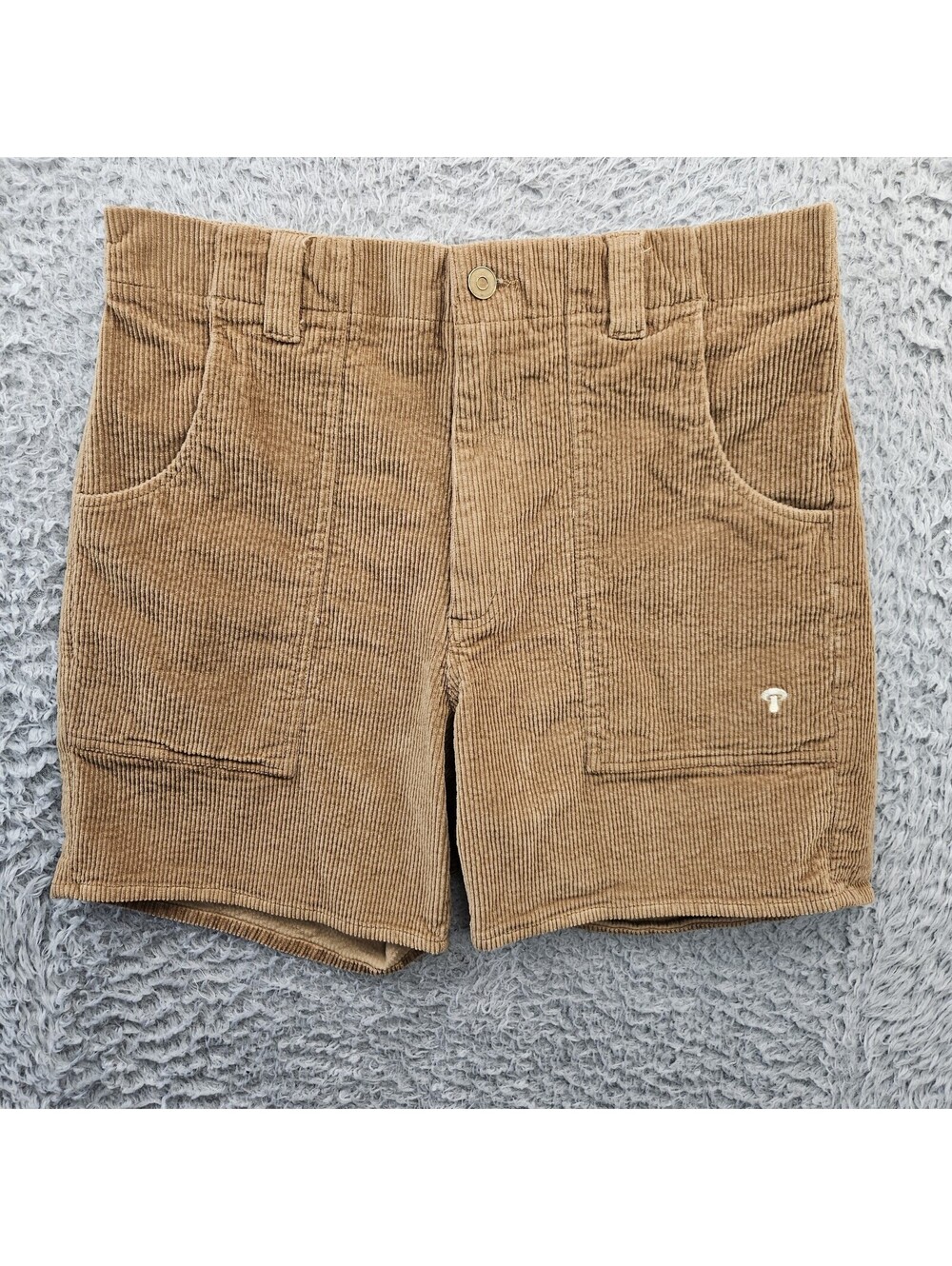 Mollusk California Corduroy Shorts Large (Fits 32-35x6) Vintage OP Style Beach